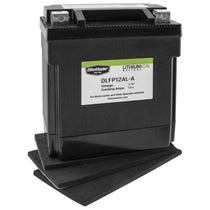 BikeMaster DLFP-12AL-A Lithium-Ion Battery